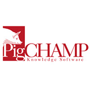 PigChamp