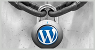 White Paper: Consejos para blindar la seguridad en WordPress